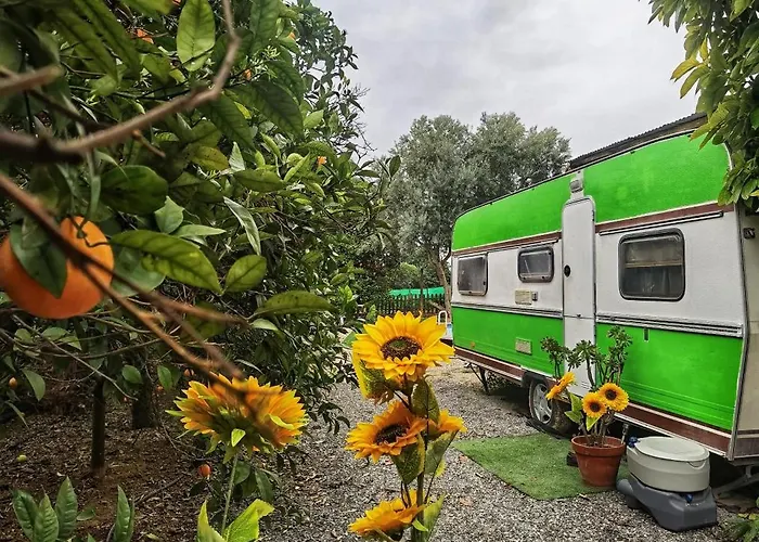Caravan Of By Casa Artes אתר קמפינג לוז דה טווירה